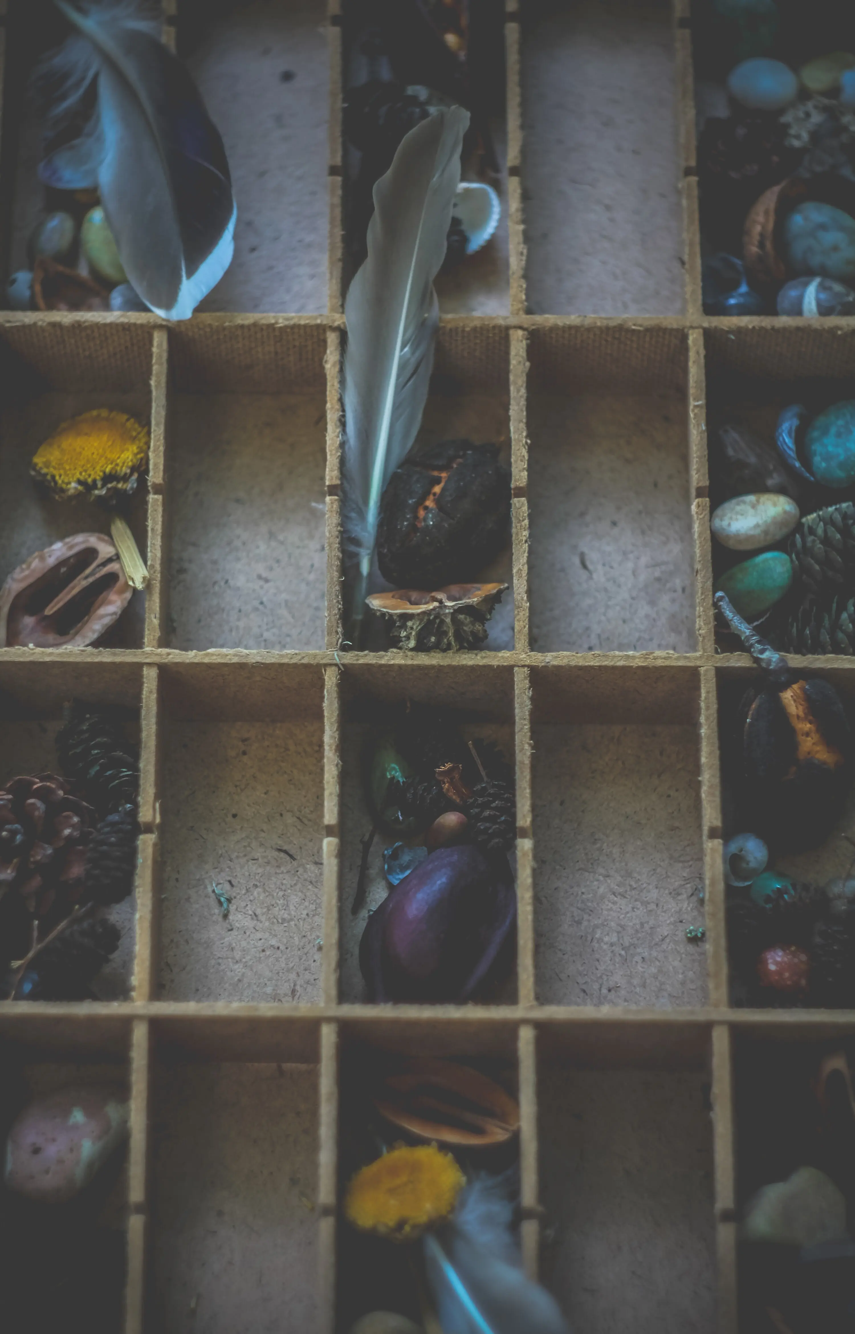 Nahaufnahme eines Konzeptfotos zur Herbst-Schnitzeljagd